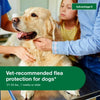 Advantage II Large Dog Vet-Recommended Flea Treatment & Prevention