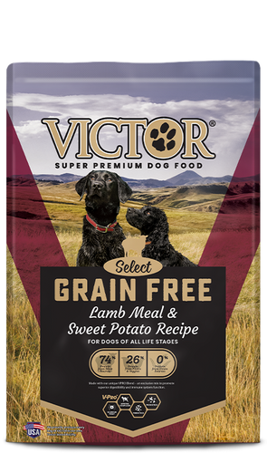 Victor Grain Free Lamb Meal & Sweet Potato Recipe Dry Dog Food