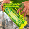 Rescue TrapStik Wasp Trap