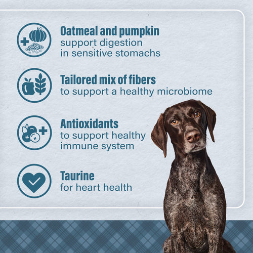 Nutrena® Loyall Life® Advanced Solutions Healthy Digestion Chicken & Rice Recipe Adult Dog Food