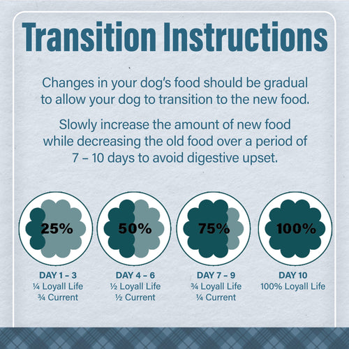 Nutrena® Loyall Life® Advanced Solutions Sensitive Skin & Coat Salmon & Oatmeal Recipe Adult Dog Food