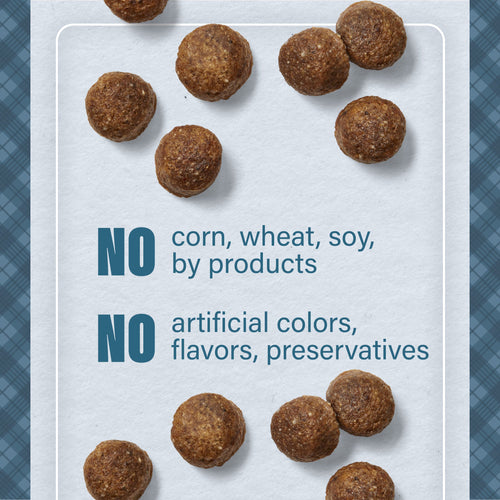 Nutrena® Loyall Life® Large Breed Lamb Meal & Brown Rice Recipe Adult Dog Food