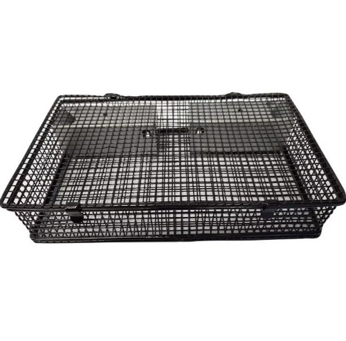 Rugged Ranch Catchmor Mouseinator