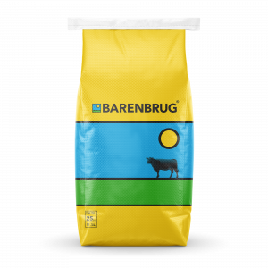 Barenbrug Grit Forage Bermudagrass Blend