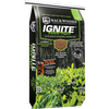 Backwoods Ignite™ Plot