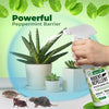 Mighty Mint Peppermint Oil Rodent Repellent Spray
