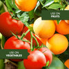 BIOADVANCED FRUIT, CITRUS & VEGETABLE INSECT CONTROL