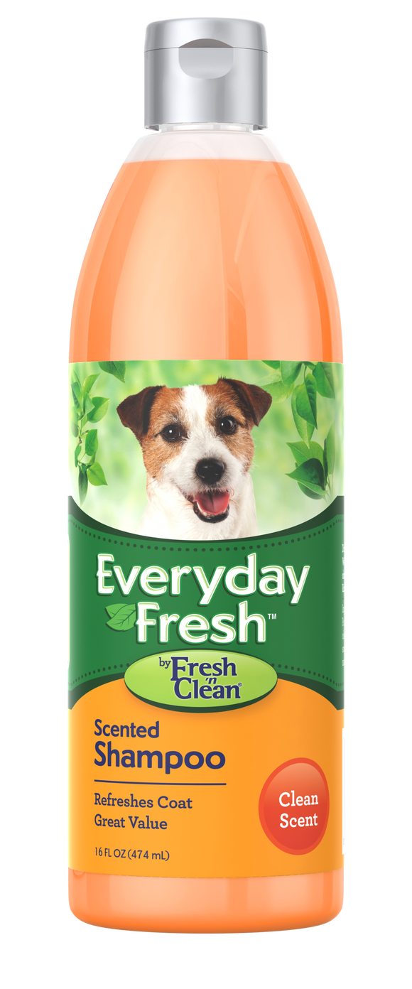 Everyday Fresh™ by Fresh ’n Clean® - Scented Shampoo - Clean Scent