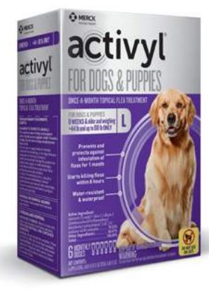 Activyl for Dogs (6 x 3 x 3.08 ML - 3 Month Supply (44-88 lbs))