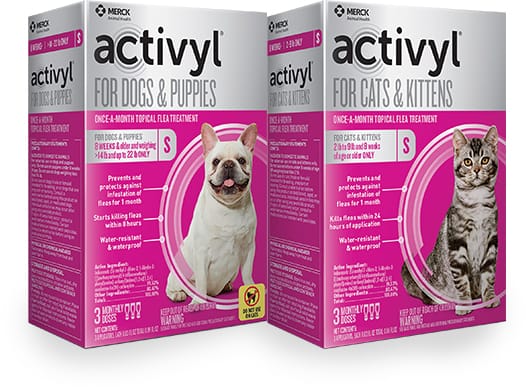 Activyl For Cats And Kittens (6 x 3 x 0.51 ML - 2-9 Lbs - 3 Month Supply)